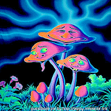 psypicphp2.png image by psymaus
